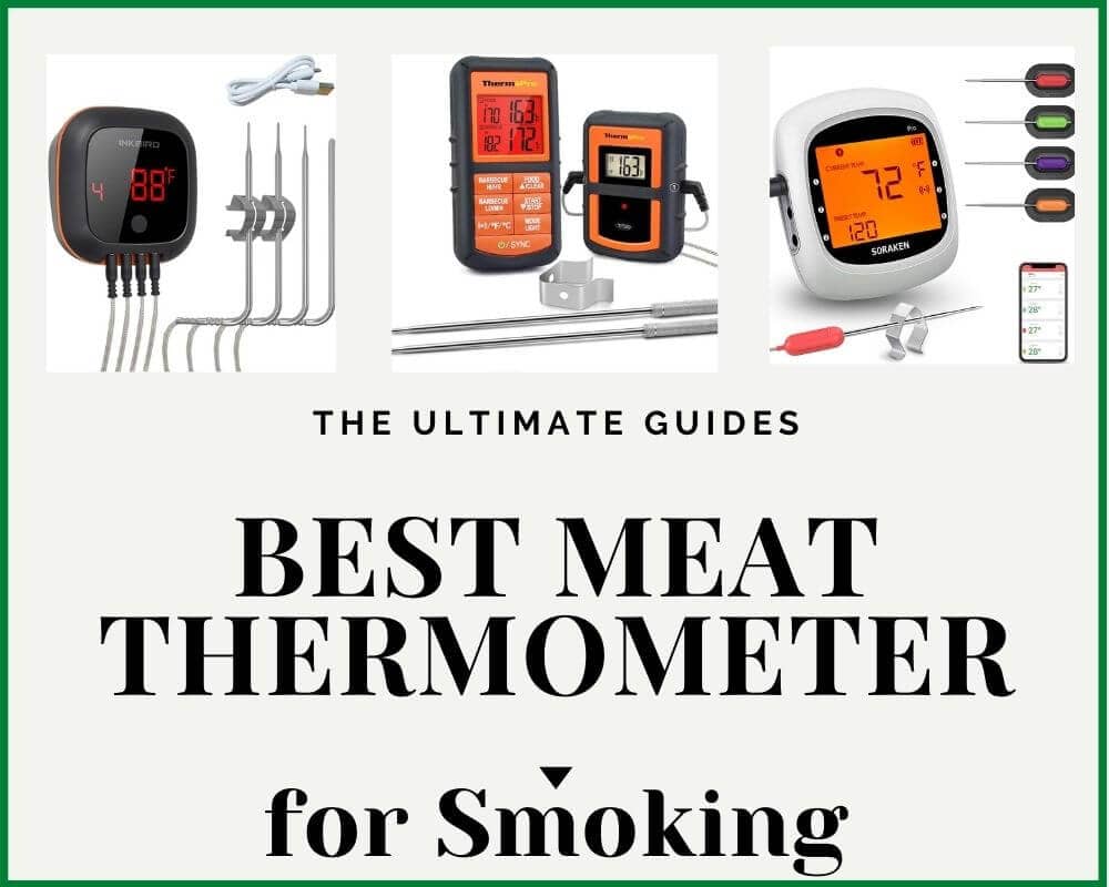 Best Meat Thermometer for Smoking