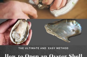 How to Open an Oyster Shell-In Easy Way!